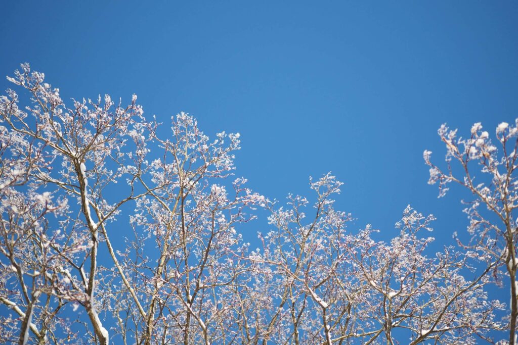 Simppelia-elamaa-ja-kasitoita